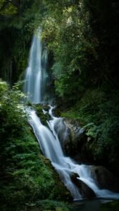 Foto de John Rodenn Castillo en Unsplash